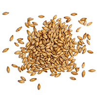 https://ordonnance-pub.fr/wp-content/uploads/2017/05/ingredients_transparent_03.png