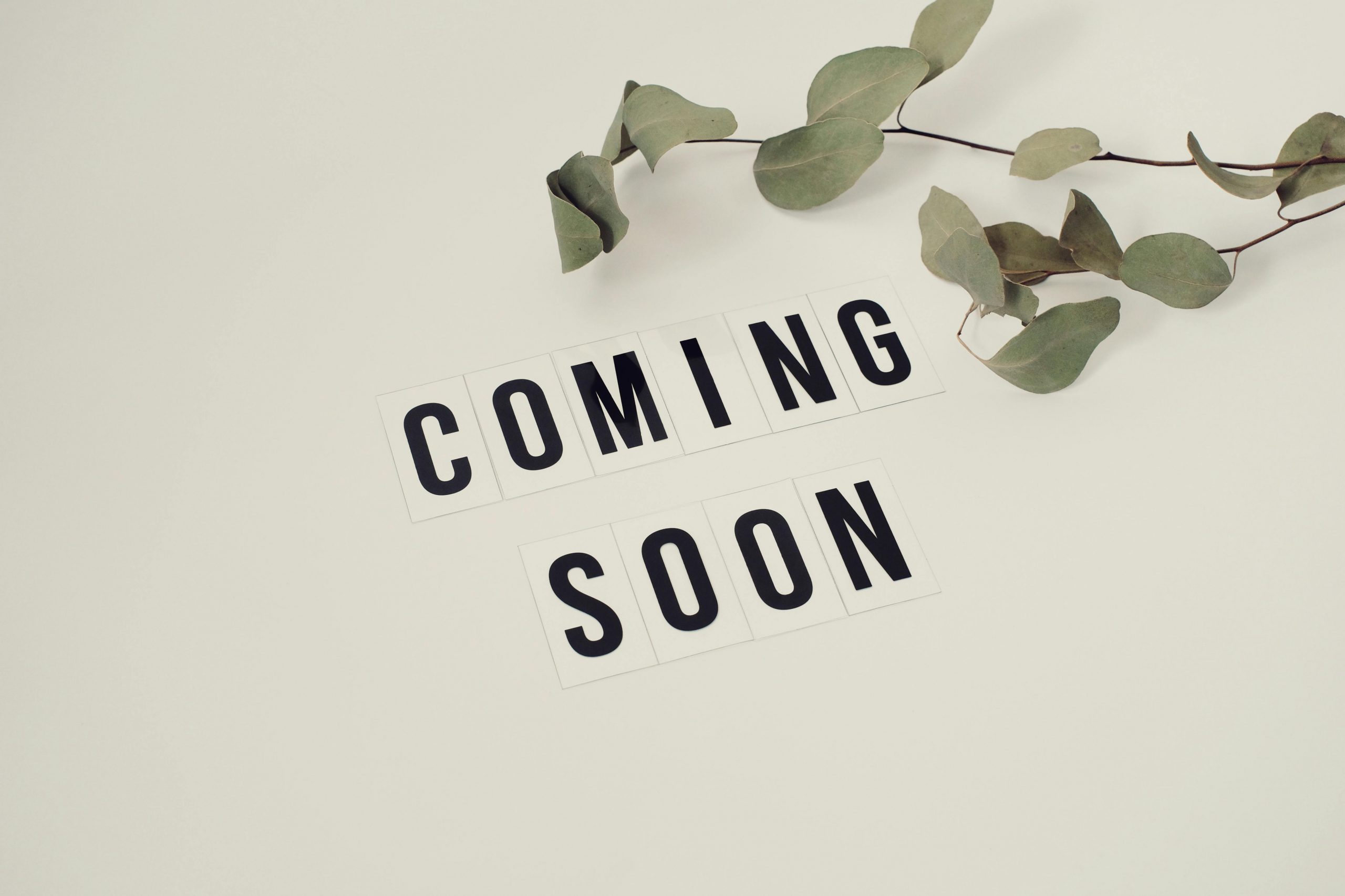 https://ordonnance-pub.fr/wp-content/uploads/2025/05/pexels-vie-studio-4439444-scaled.jpg